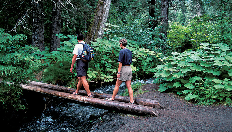 Walq-alaska-walking-8